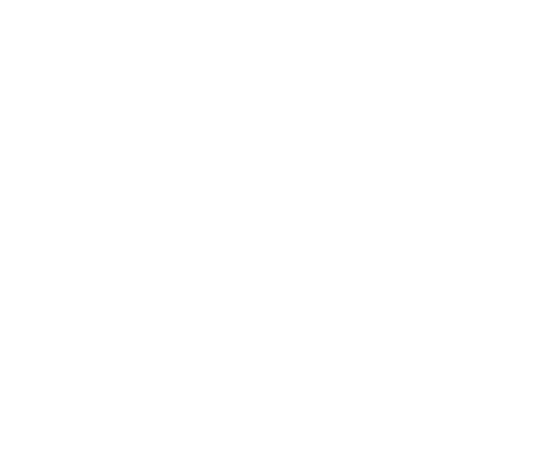 The Chirp'n3rd racing-helmet bird